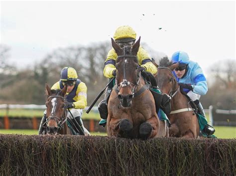 cheltenham racing tips